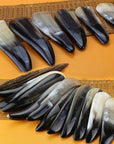 Peigne en corne Naturel