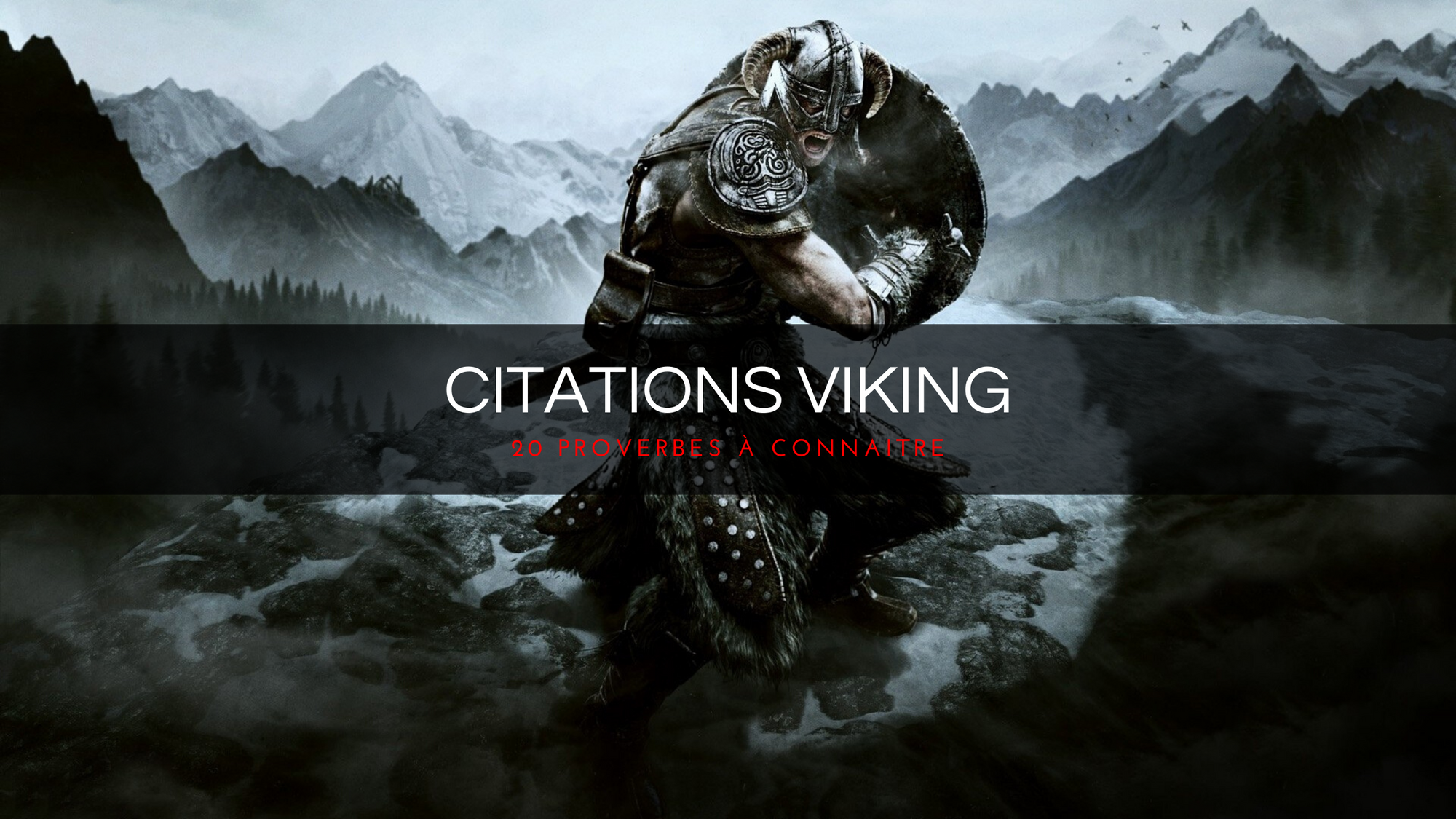 Les meilleures citations Viking
