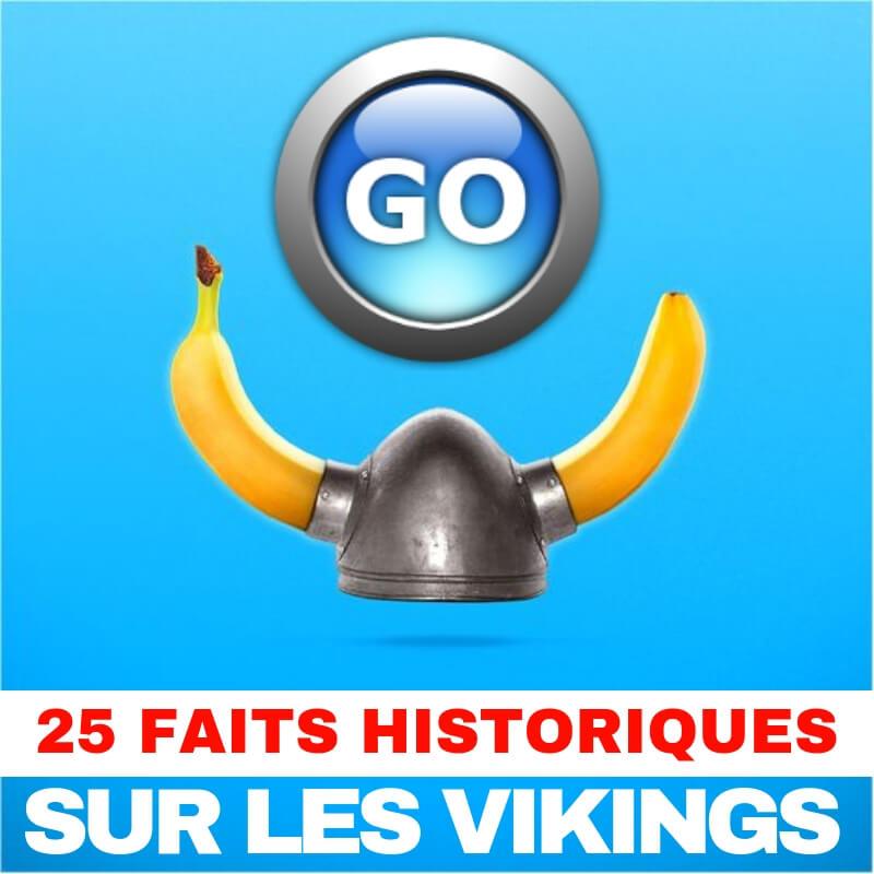 faits-historiques-viking