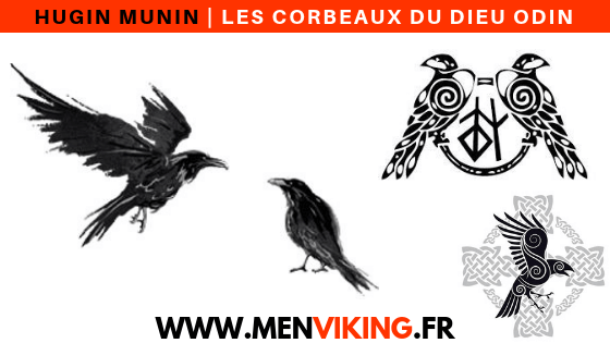 hugin-munin