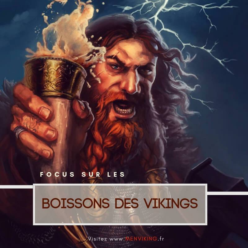 hydromel-et-biere-viking