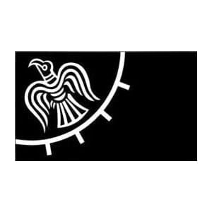 Bannière Viking Corbeau
